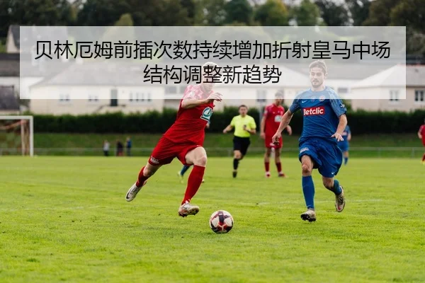 img_1783255296888_835_1_858.jpg