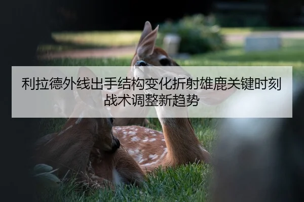 利拉德外线出手结构变化折射雄鹿关键时刻战术调整新趋势